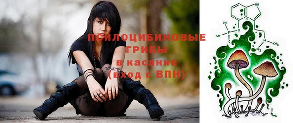 меф Новодвинск